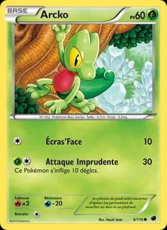 Carte Pokémon