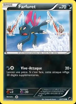 Carte Pokémon
