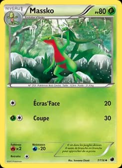 Carte Pokémon