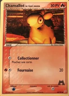 Carte Pokémon