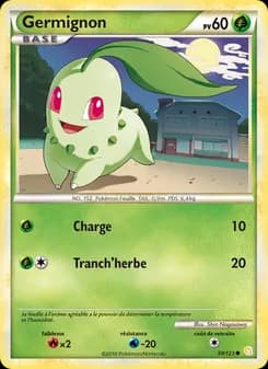 Carte Pokémon