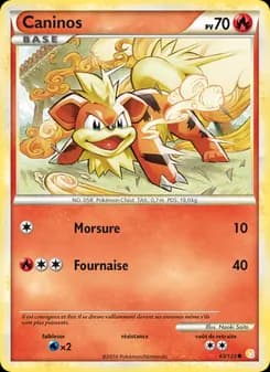 Carte Pokémon