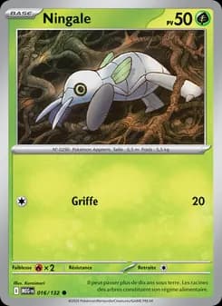 Carte Pokémon