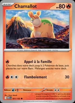 Carte Pokémon