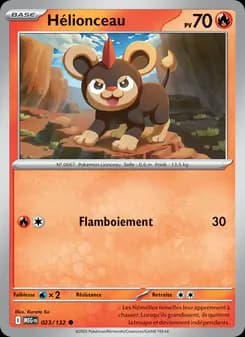 Carte Pokémon