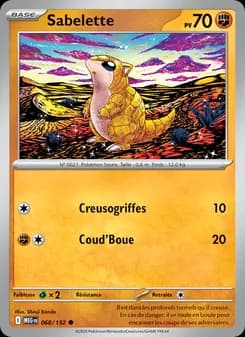 Carte Pokémon