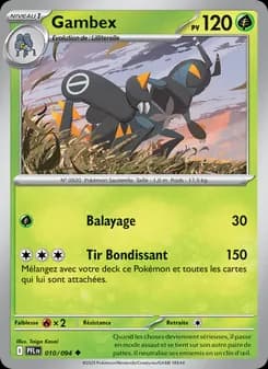 Carte Pokémon