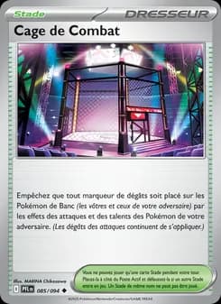 Carte Pokémon