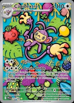 Carte Pokémon