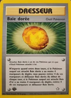 Carte Pokémon