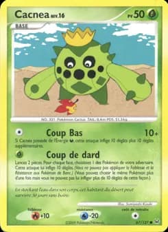 Carte Pokémon