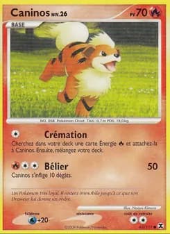 Carte Pokémon