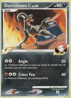 Carte Pokémon
