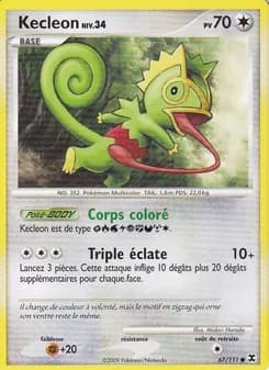 Carte Pokémon
