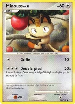 Carte Pokémon