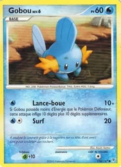 Carte Pokémon