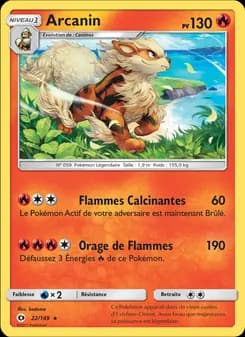 Carte Pokémon