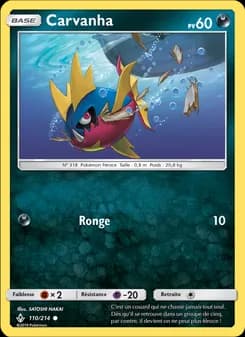 Carte Pokémon