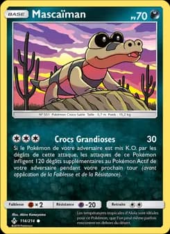 Carte Pokémon