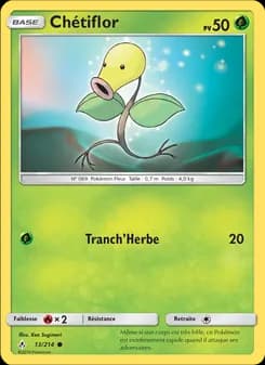 Carte Pokémon