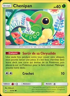 Carte Pokémon