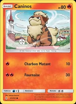 Carte Pokémon