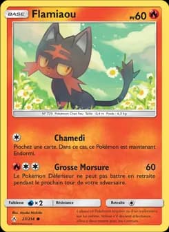 Carte Pokémon