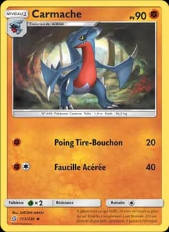Carte Pokémon