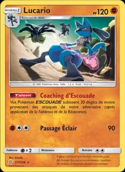 Carte Pokémon