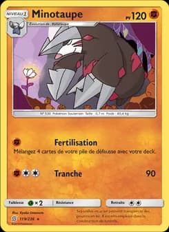 Carte Pokémon