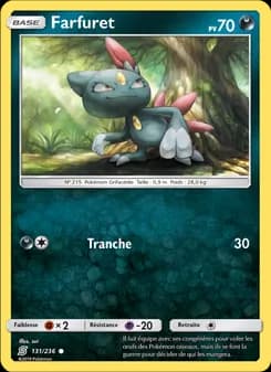 Carte Pokémon