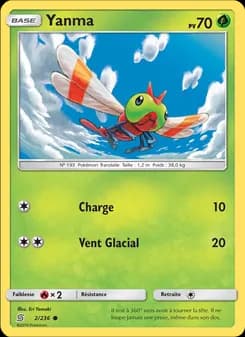 Carte Pokémon
