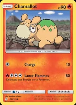 Carte Pokémon