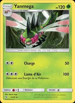 Carte Pokémon