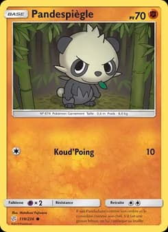 Carte Pokémon