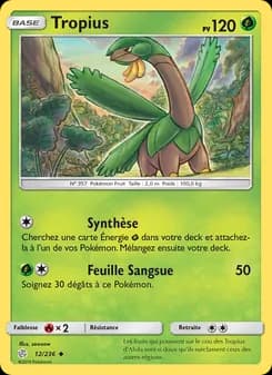 Carte Pokémon
