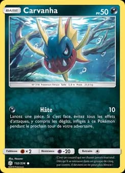 Carte Pokémon