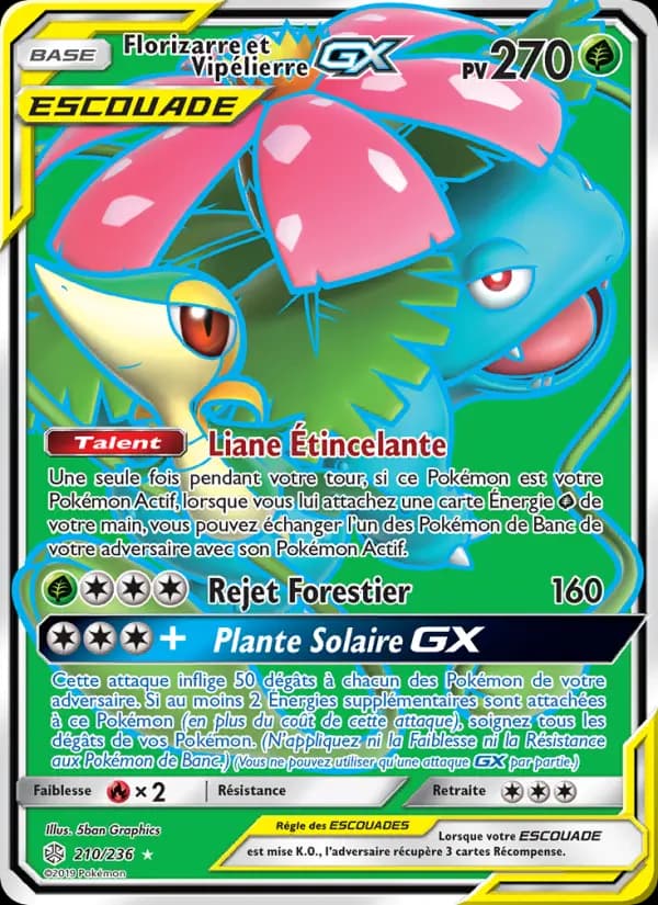 Florizarre et Vipélierre GX