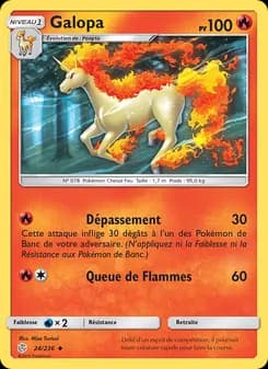 Carte Pokémon
