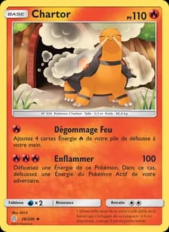 Carte Pokémon