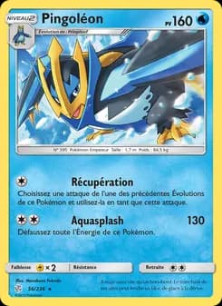Carte Pokémon