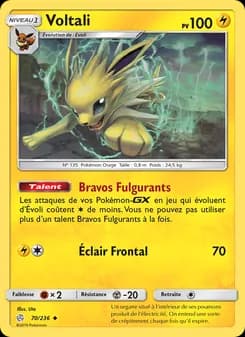 Carte Pokémon