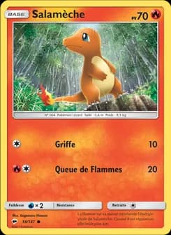 Carte Pokémon