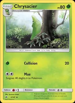 Carte Pokémon