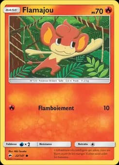 Carte Pokémon