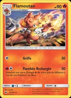 Carte Pokémon