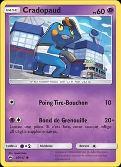 Carte Pokémon