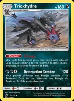 Carte Pokémon