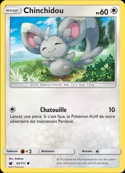 Carte Pokémon