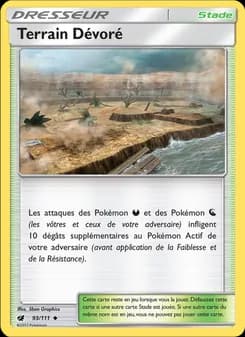 Carte Pokémon